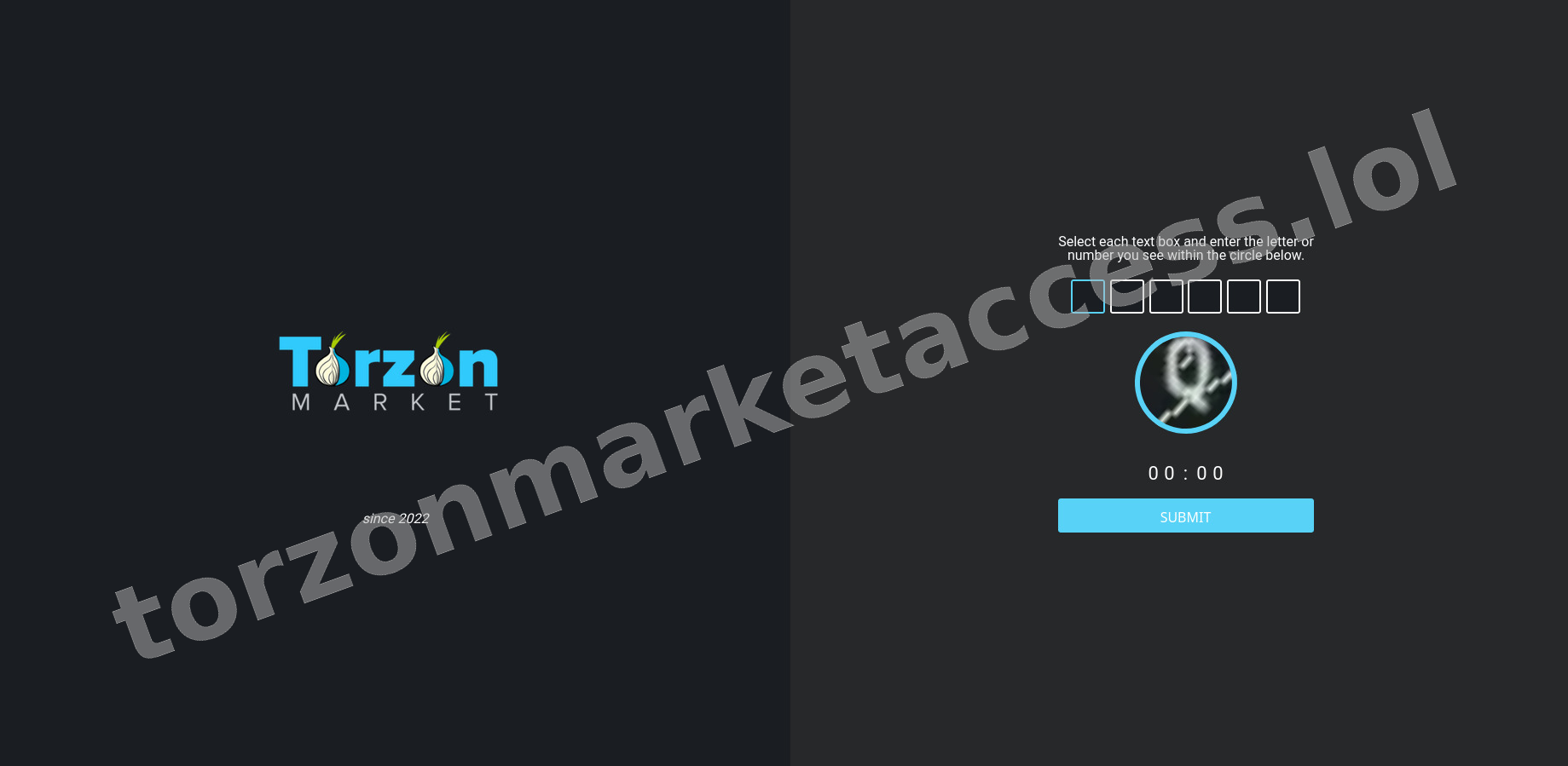 DDoS Protection Screen