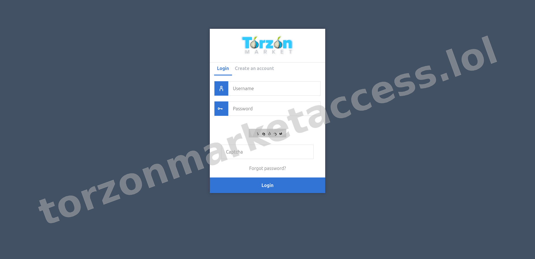 User Login Interface